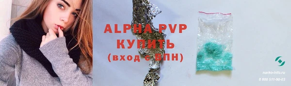 гидра Богородицк