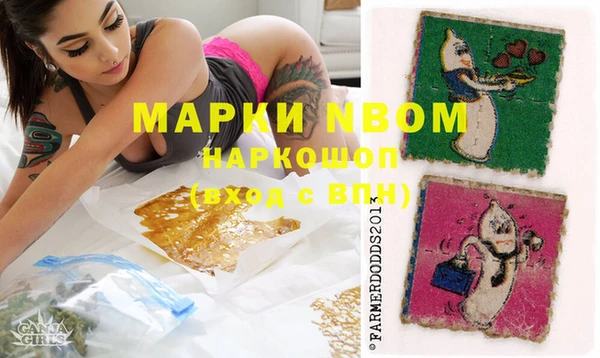 гидра Богородицк
