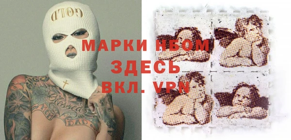 гидра Богородицк