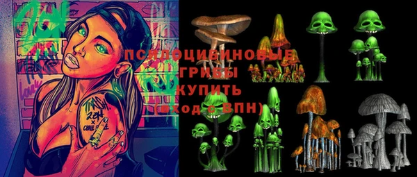 кокаин перу Богданович