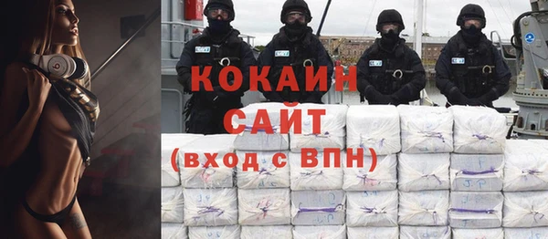 гидра Богородицк