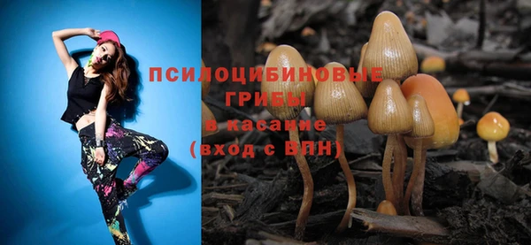 гидра Богородицк